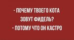 IMG-a117d1055a909f6e80bdab7dc2858a2c-V.jpg