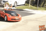 rekt-wolf-yolo-car.gif